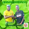 DJ Mnandi - Ti Hennessy Ho Xavetela (feat. Dj Maevo) - Single